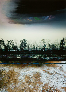 Desert Dies, Desert Blooms 1