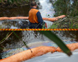 Oil Spill, Towra Point Nature Reserve